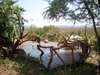 Mbalageti Serengeti - Plunge Pool 